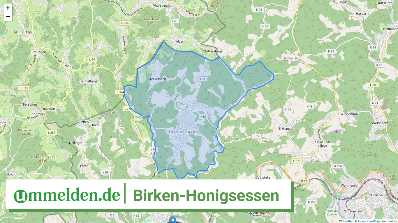 071325008008 Birken Honigsessen