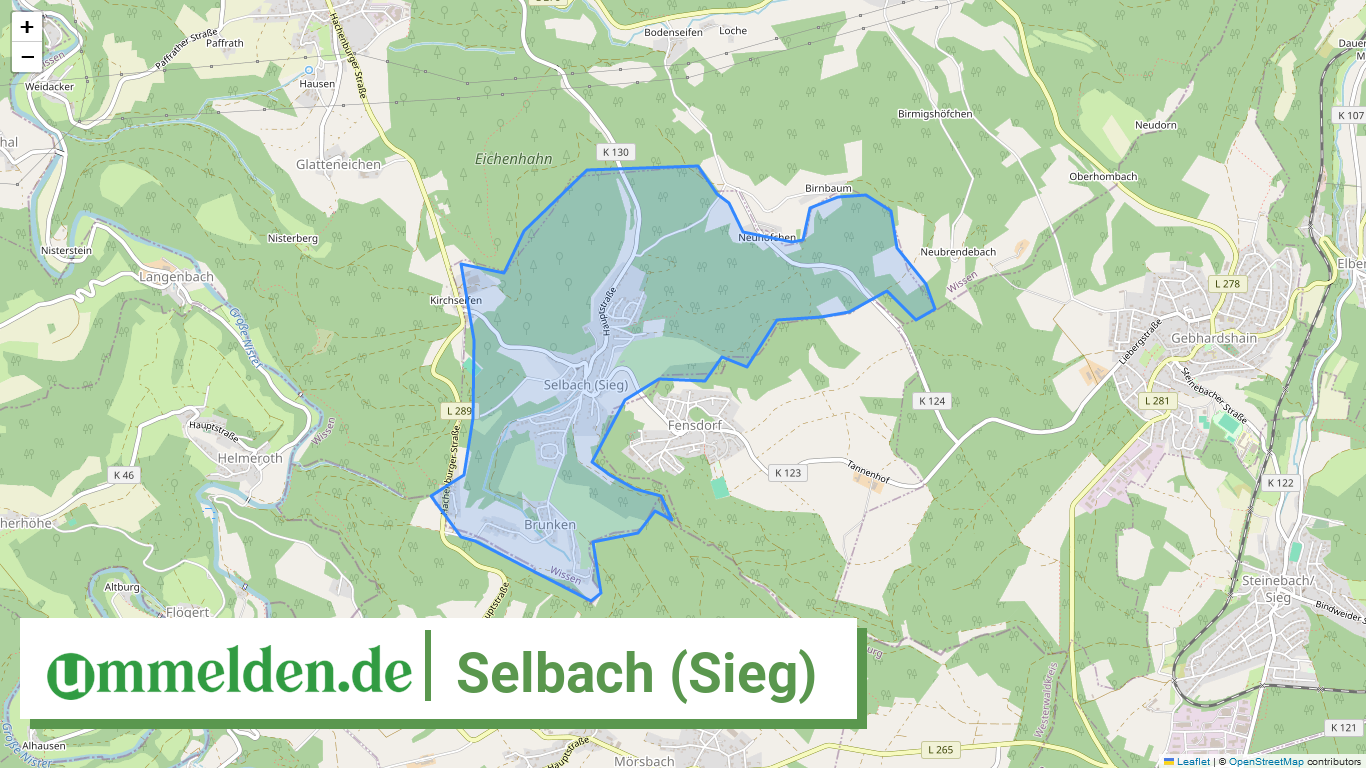 071325008105 Selbach Sieg