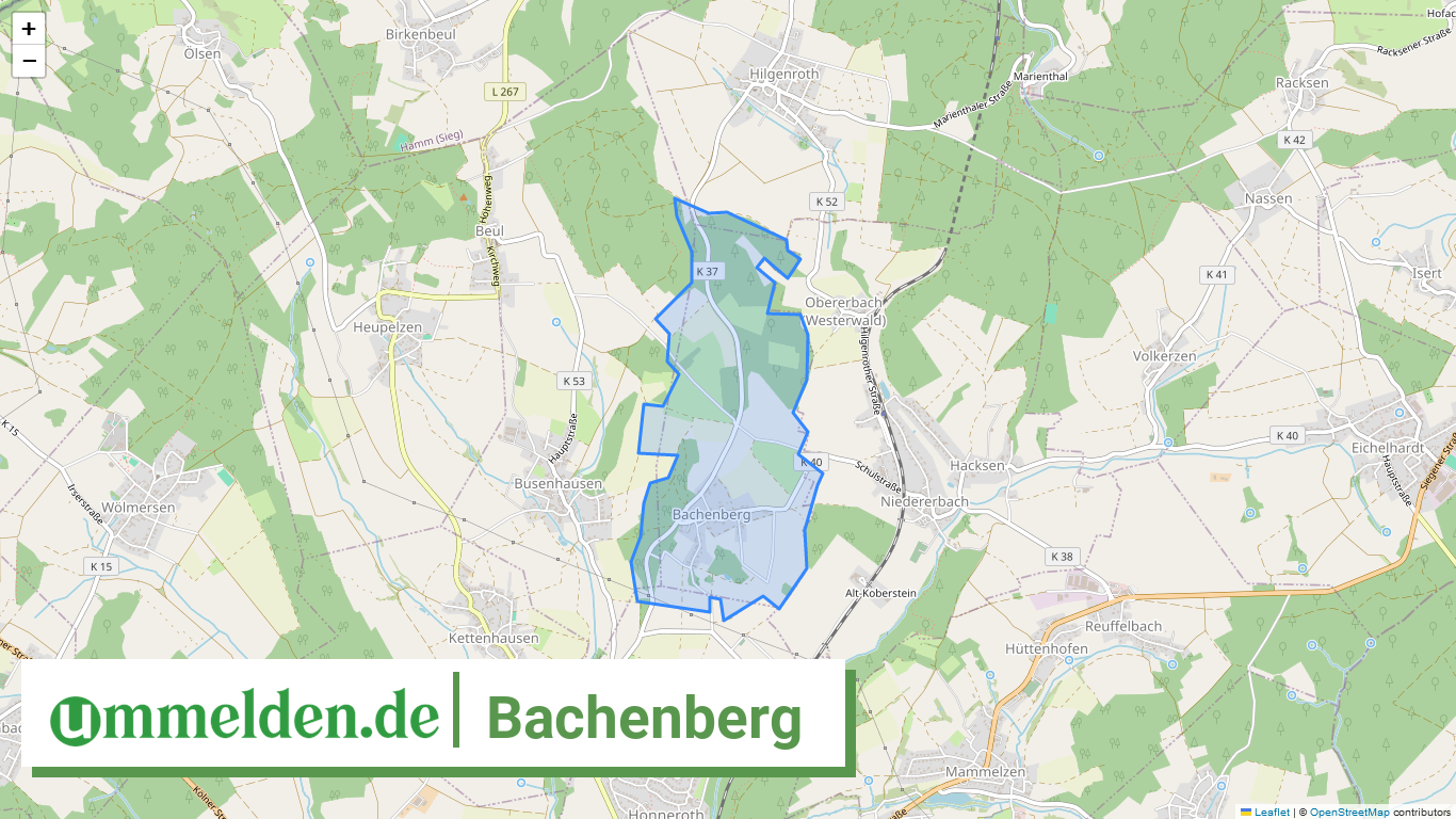 071325010004 Bachenberg