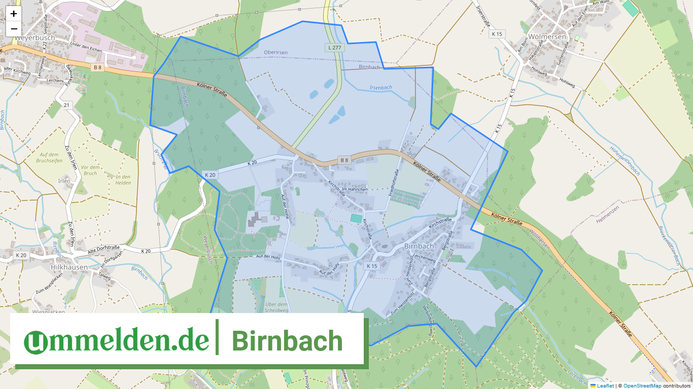 071325010009 Birnbach