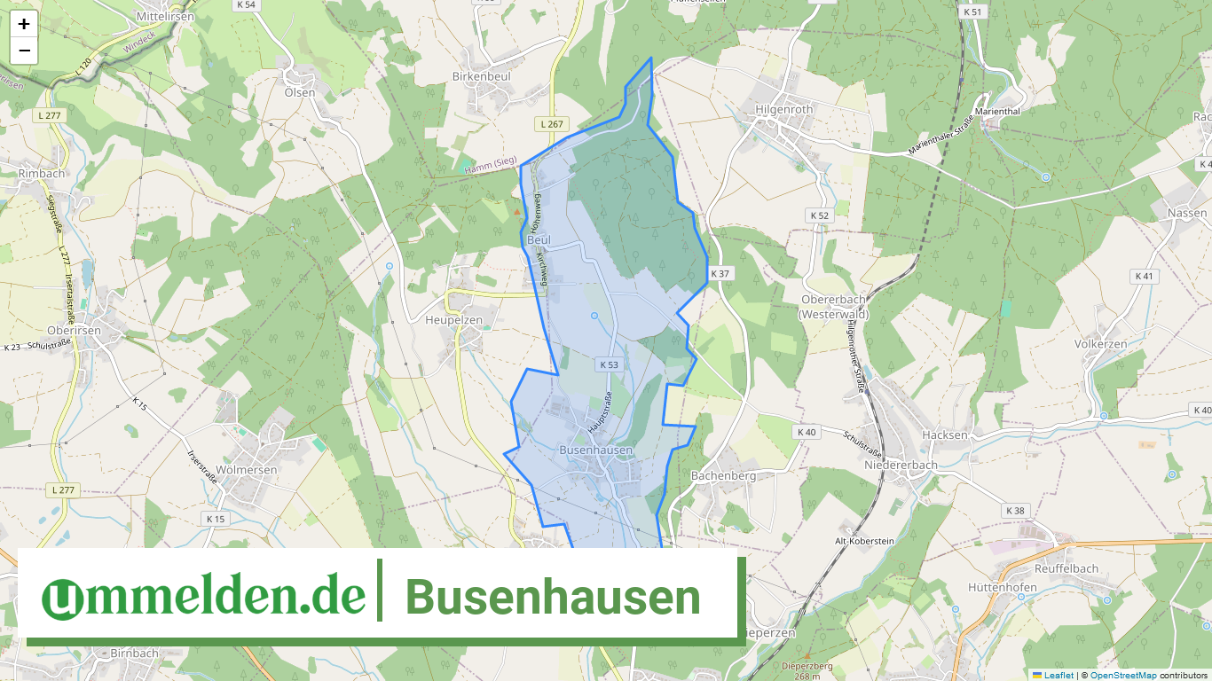 071325010017 Busenhausen