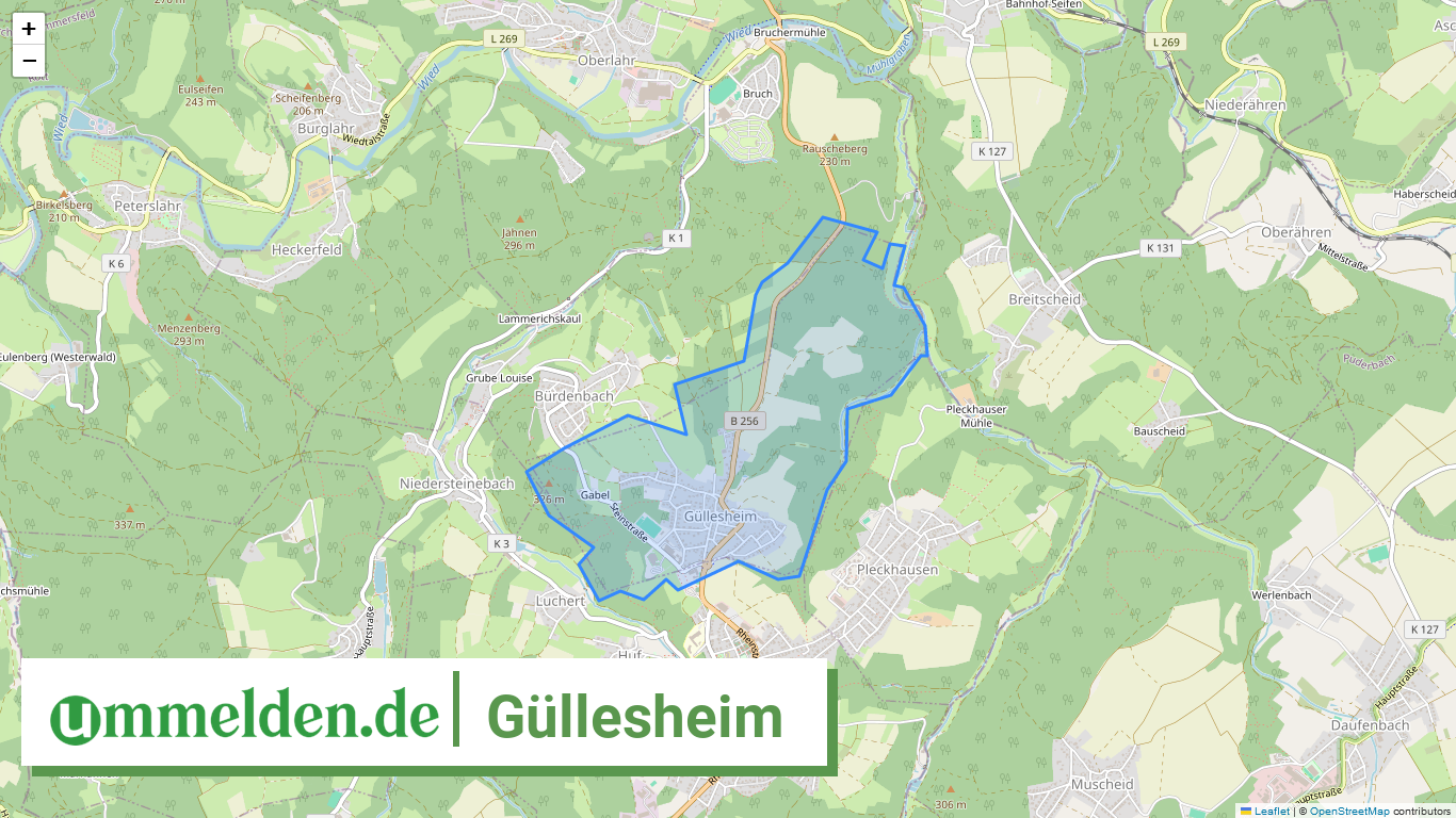 071325010043 Guellesheim