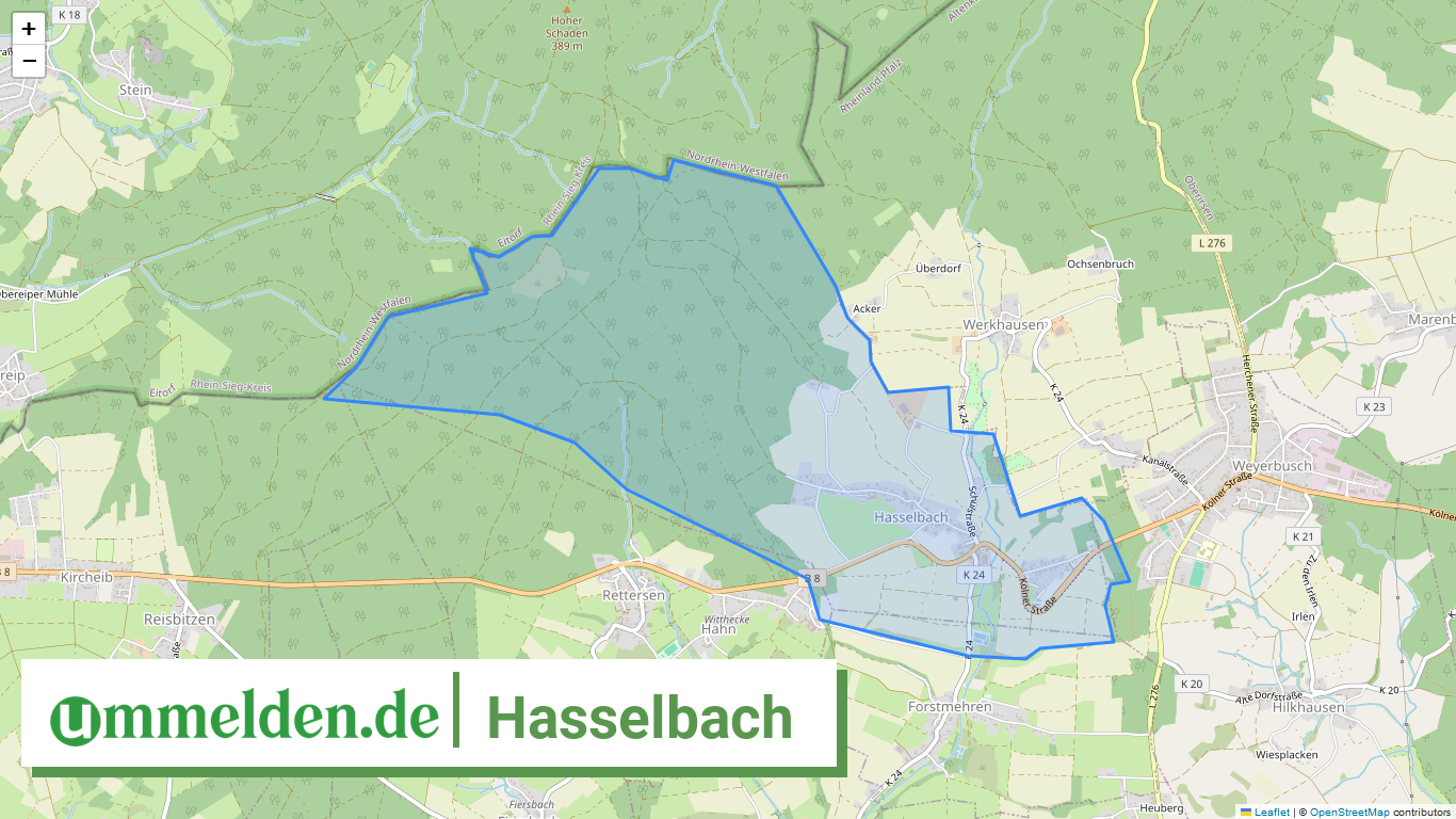 071325010046 Hasselbach