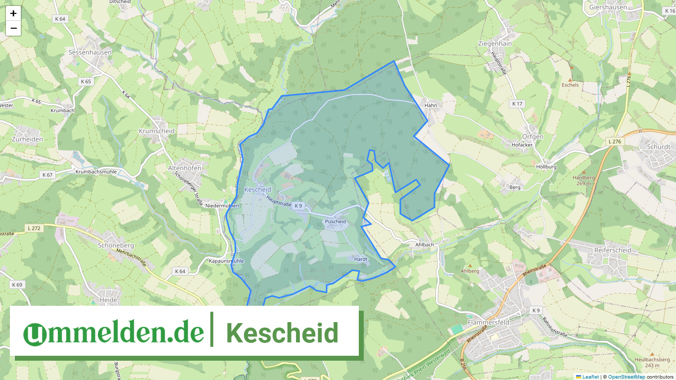 071325010060 Kescheid