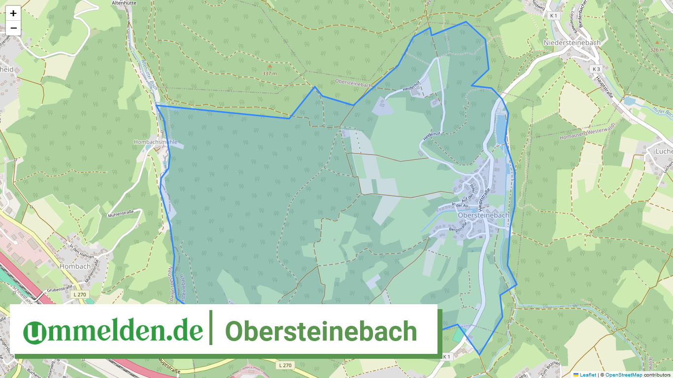 071325010085 Obersteinebach