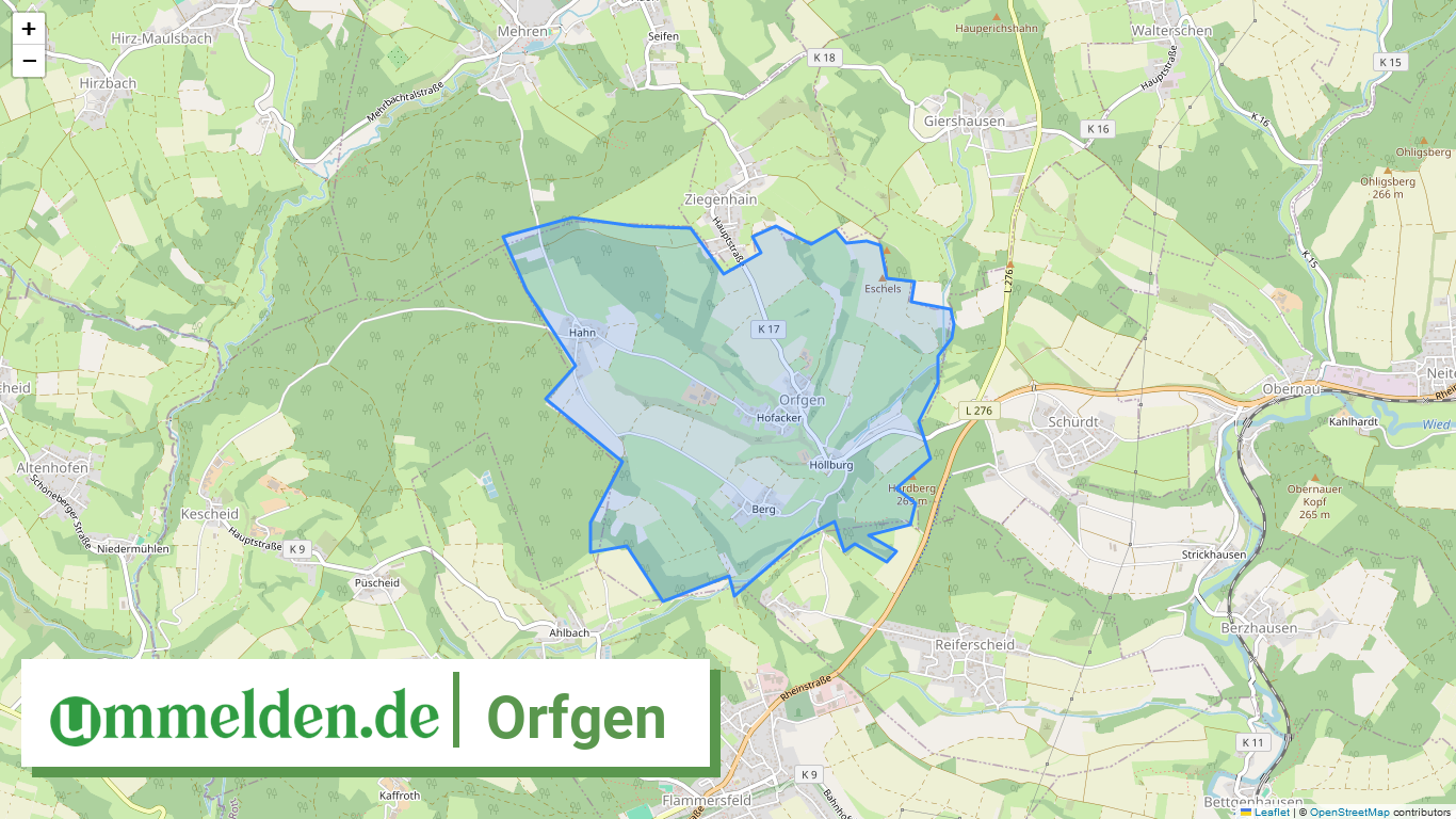 071325010088 Orfgen