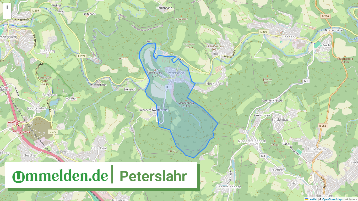 071325010089 Peterslahr