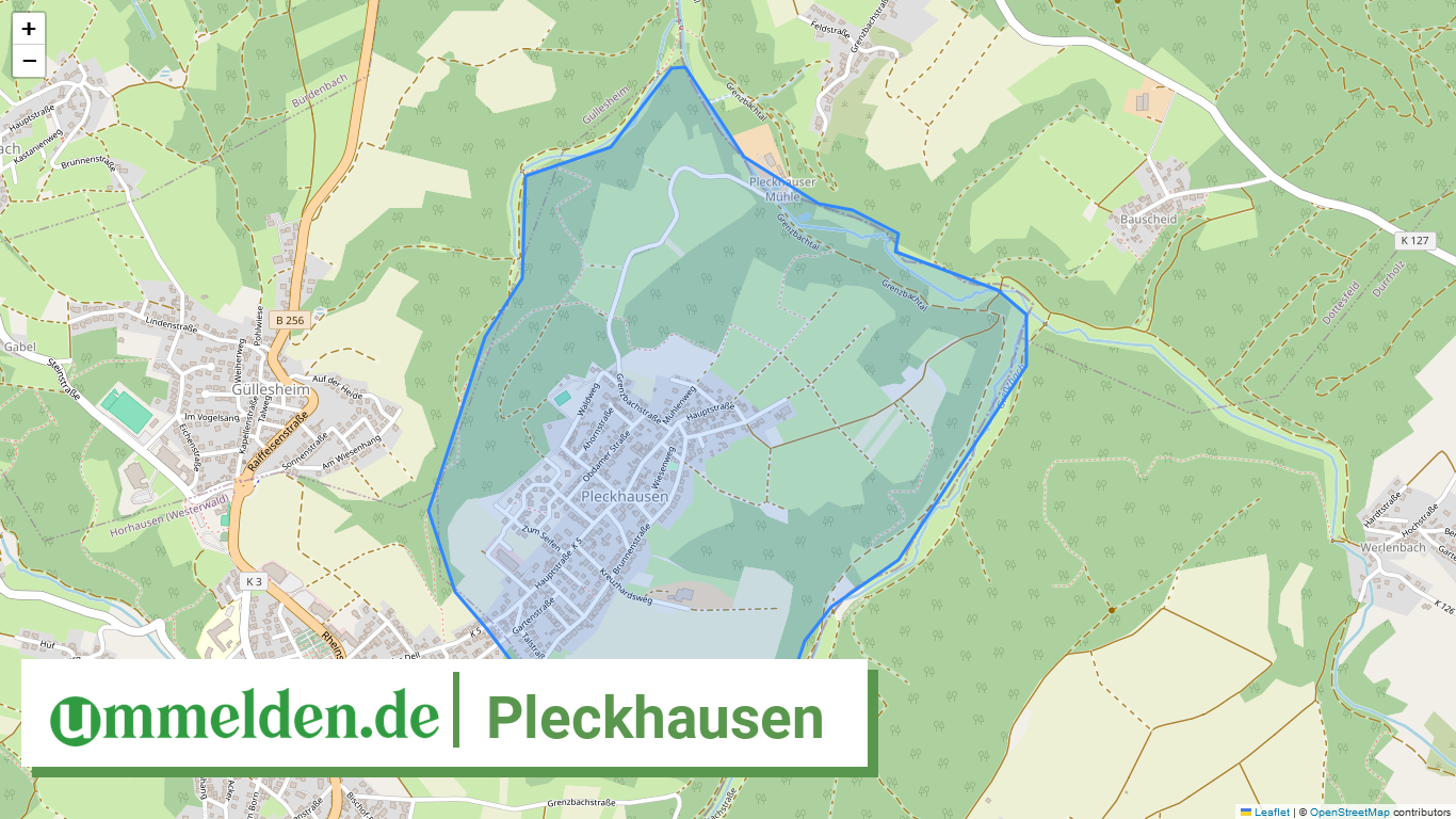 071325010090 Pleckhausen