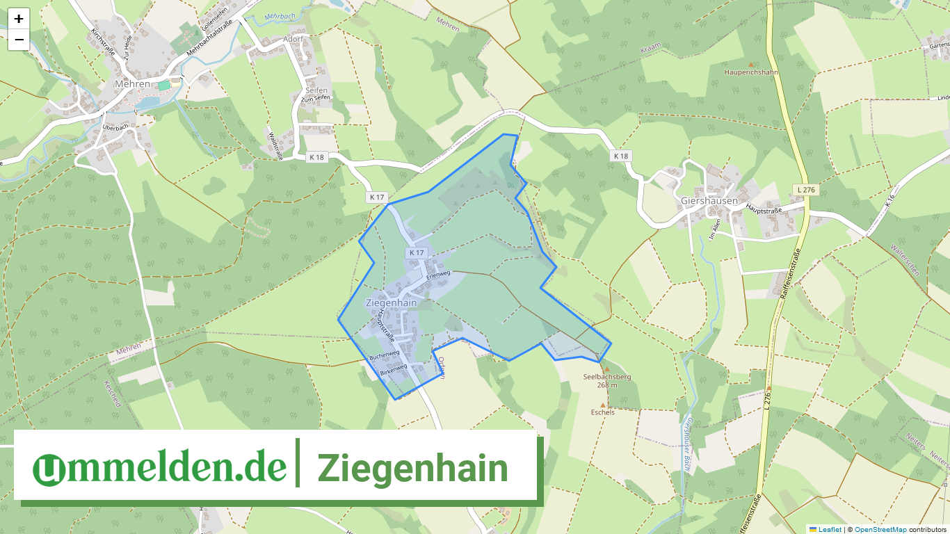 071325010119 Ziegenhain