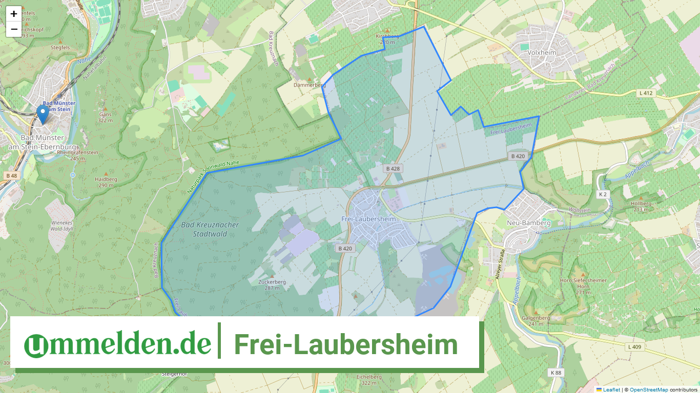 071335001031 Frei Laubersheim