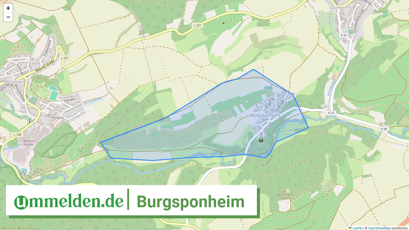 071335006019 Burgsponheim