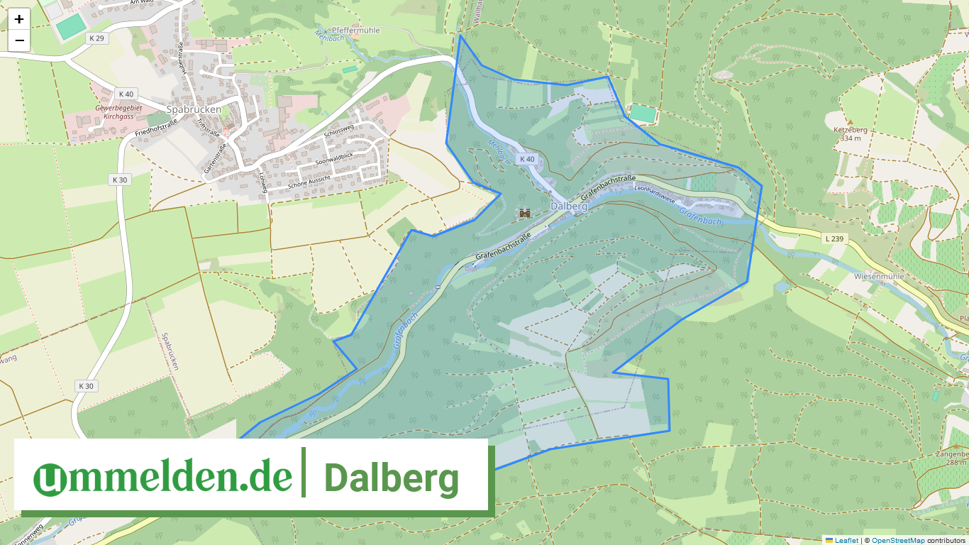 071335006021 Dalberg