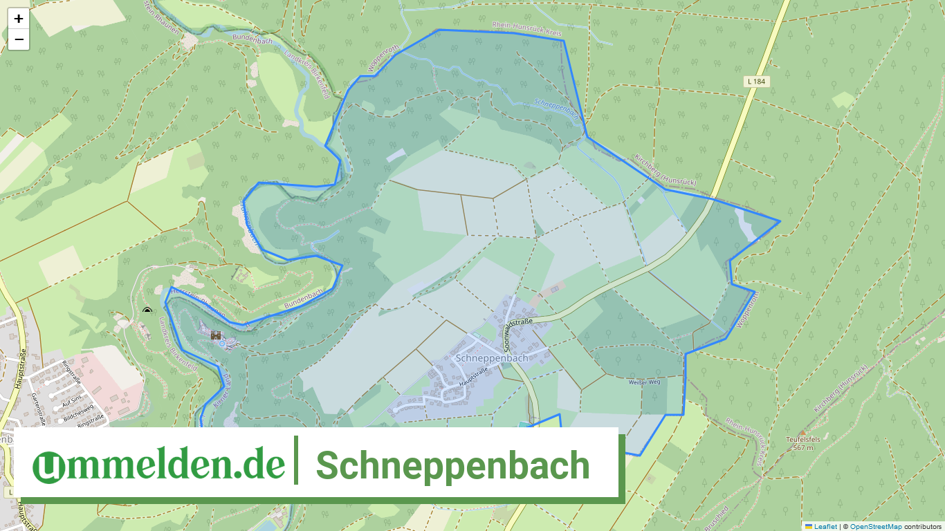 071335009204 Schneppenbach