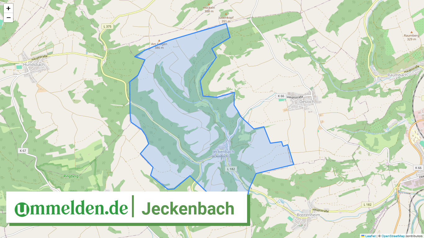 071335010051 Jeckenbach