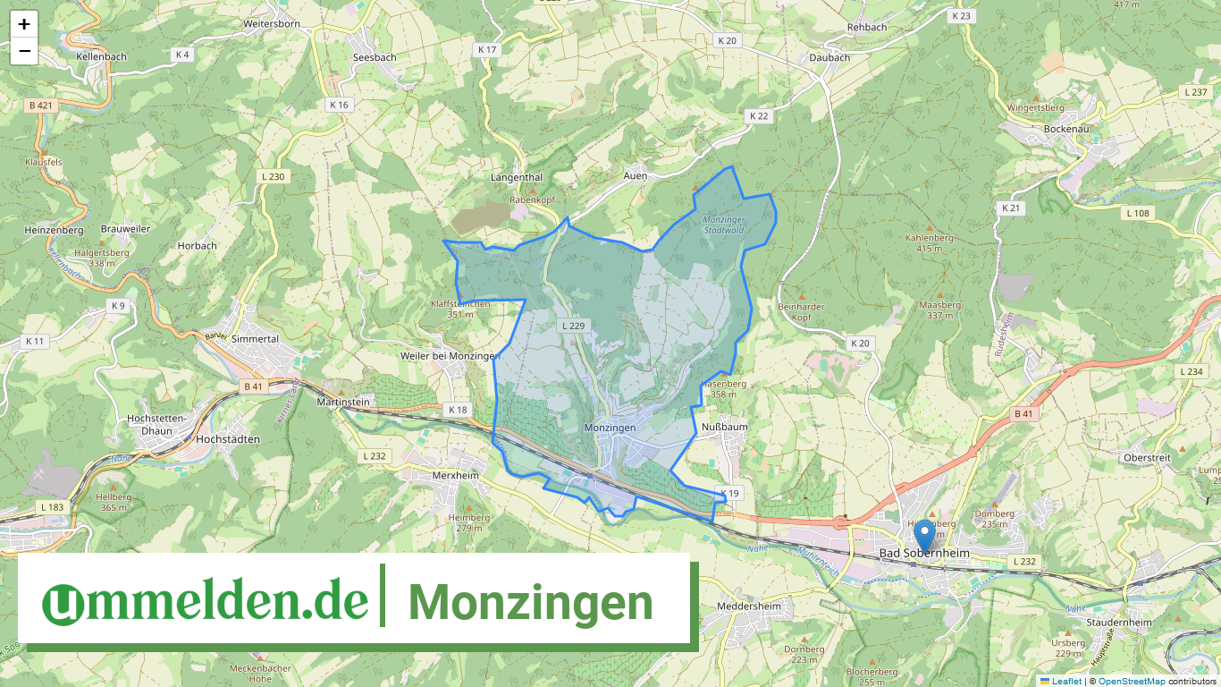 071335010067 Monzingen