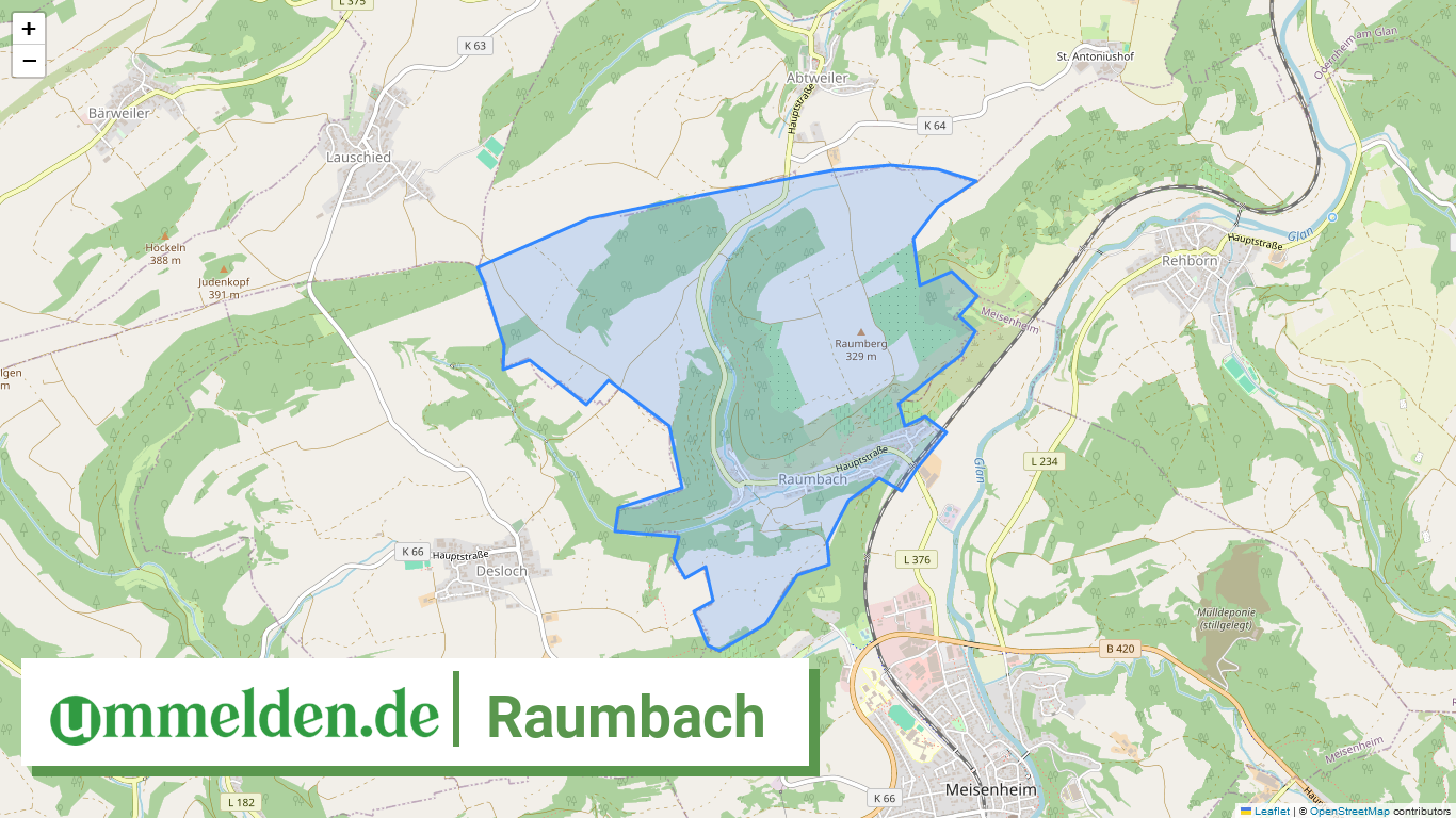 071335010081 Raumbach