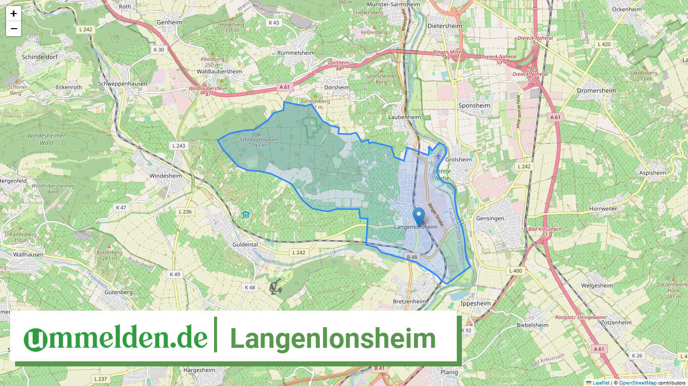 071335011054 Langenlonsheim