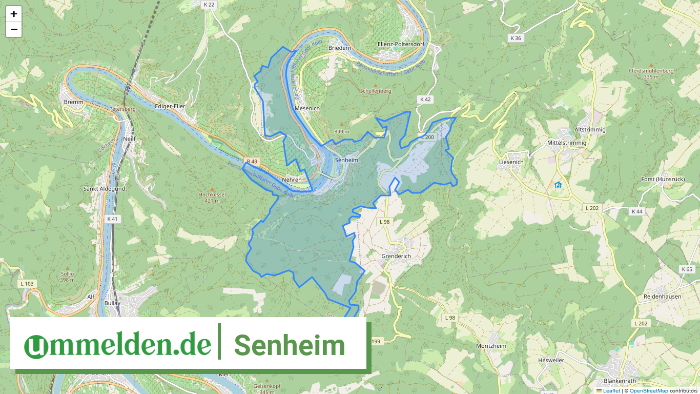 071355001079 Senheim