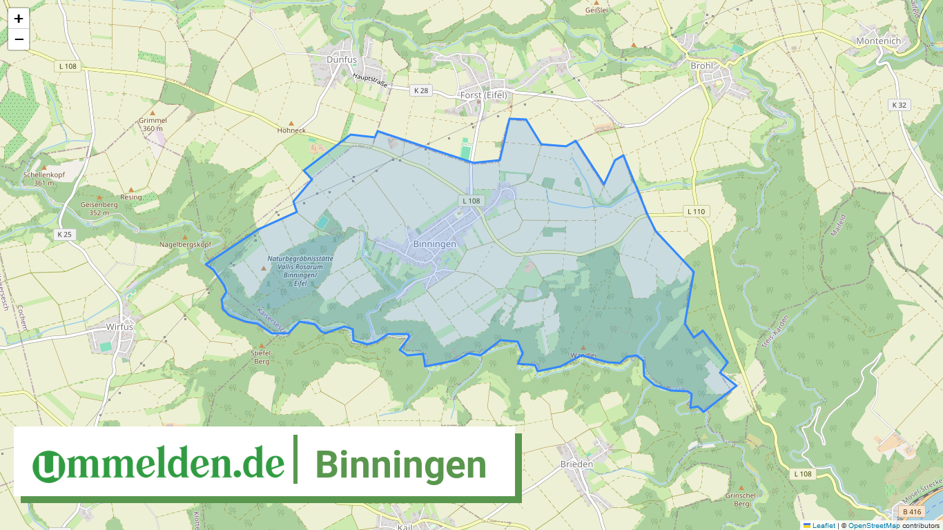 071355002009 Binningen