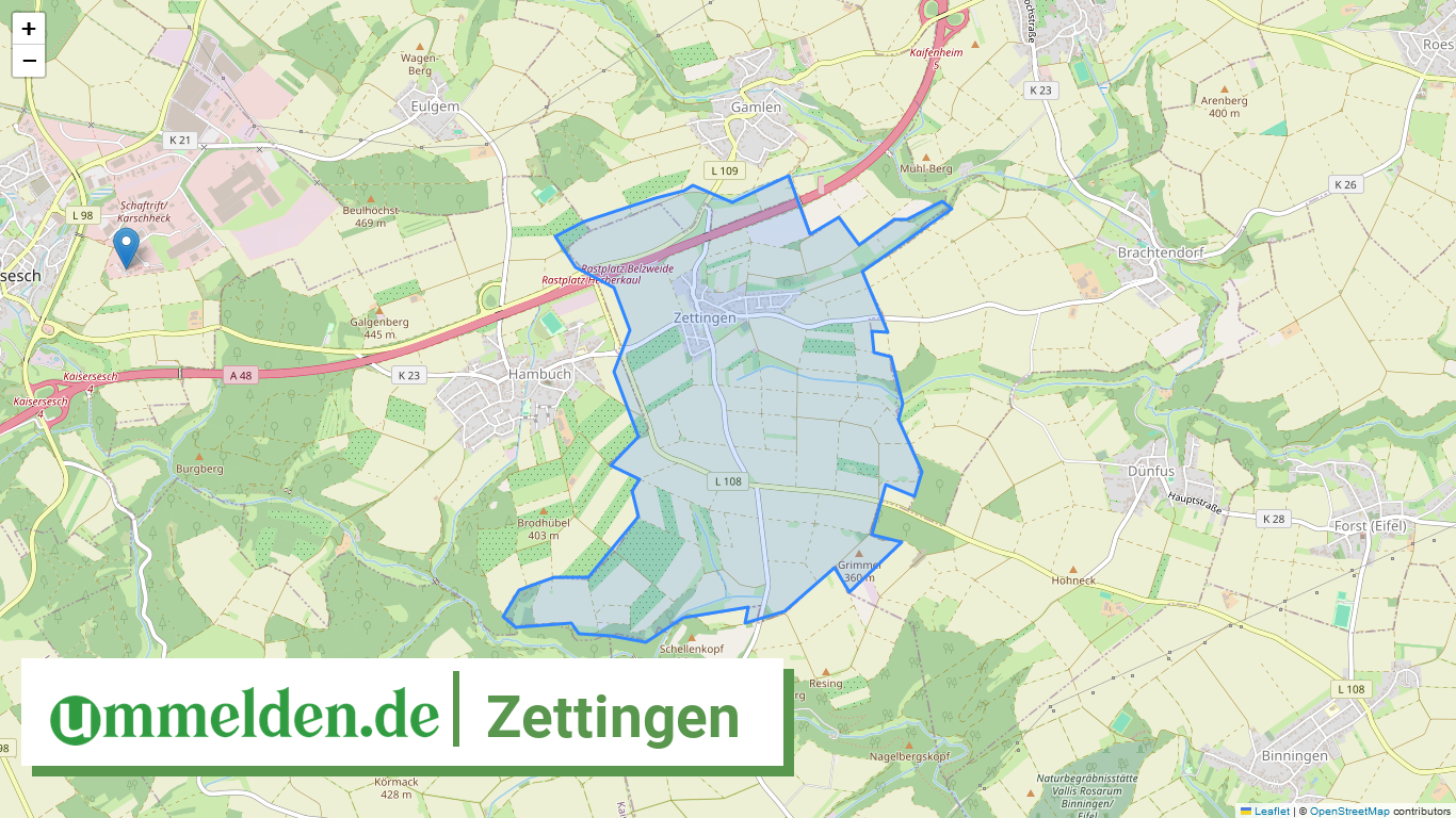 071355002093 Zettingen