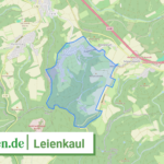 071355002502 Leienkaul