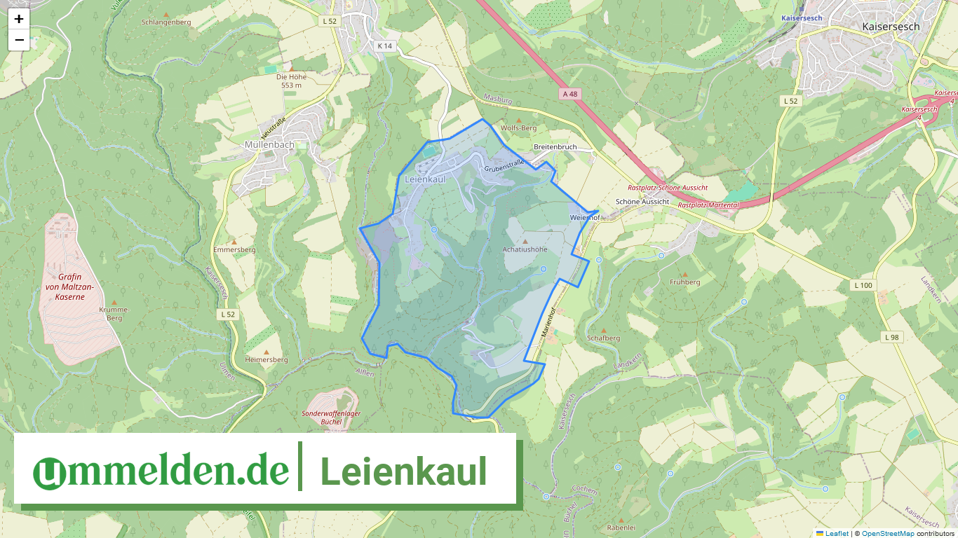 071355002502 Leienkaul