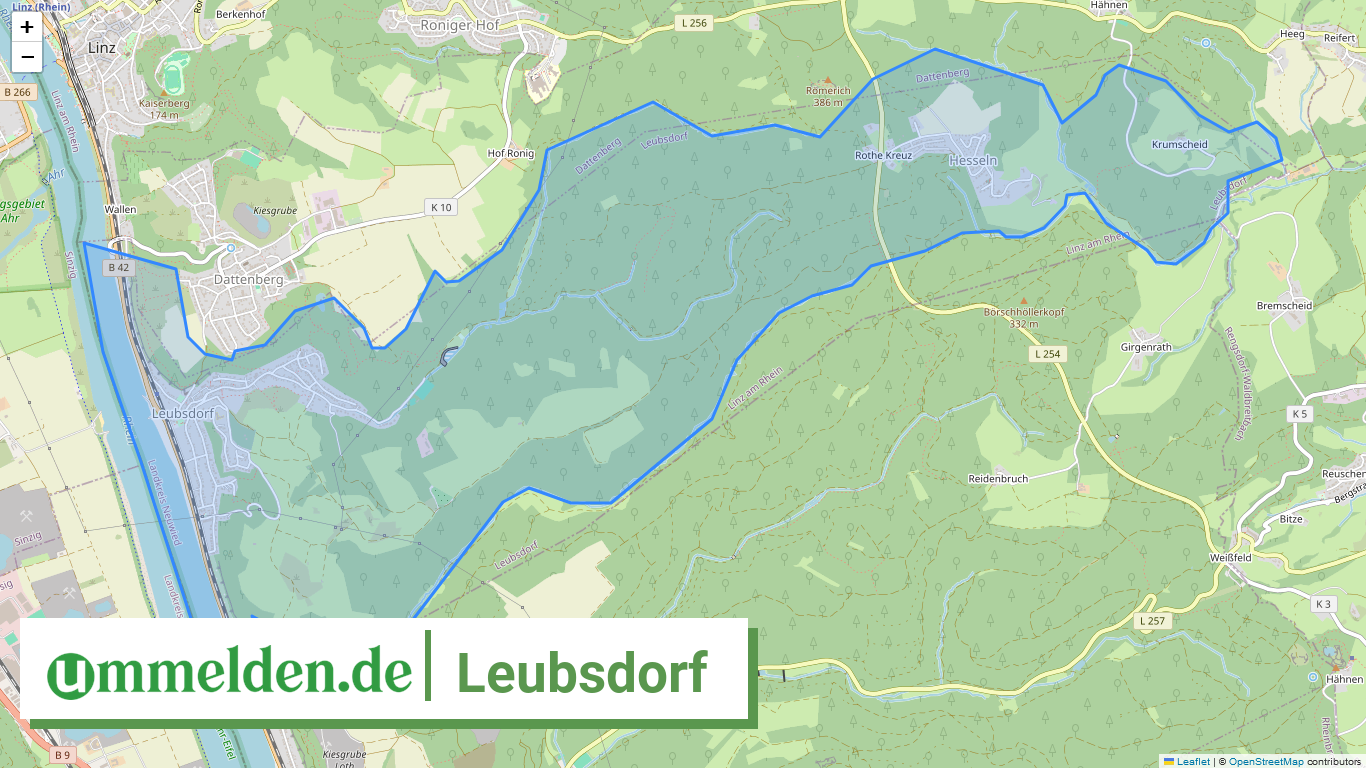 071385004037 Leubsdorf