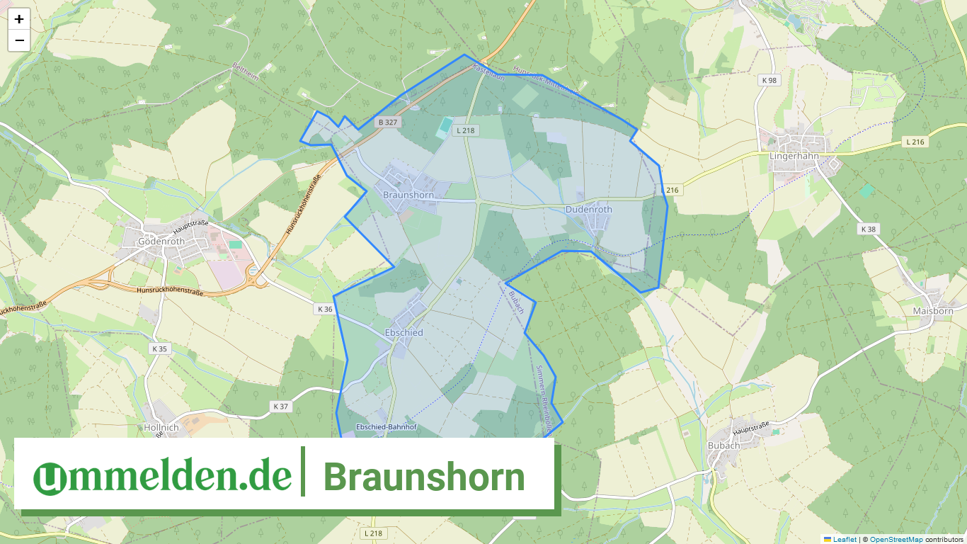 071405003018 Braunshorn