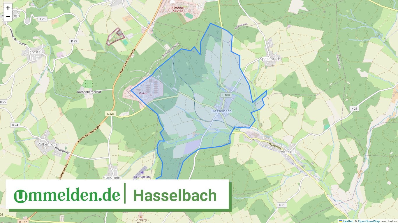 071405003046 Hasselbach