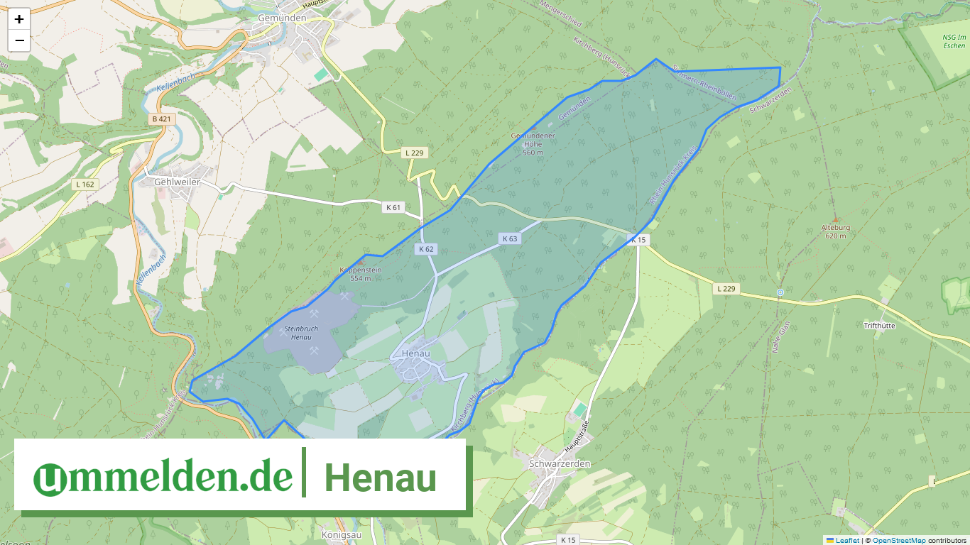 071405004050 Henau