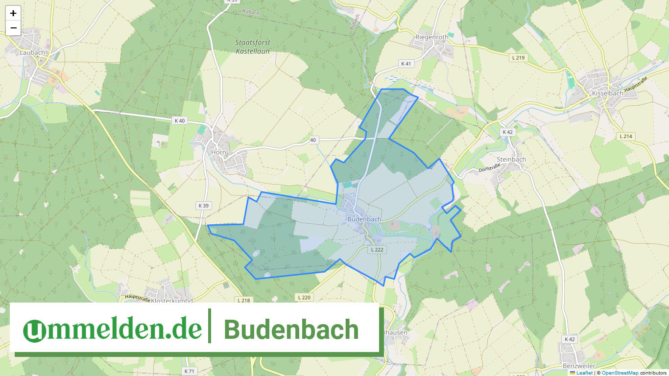 071405008023 Budenbach