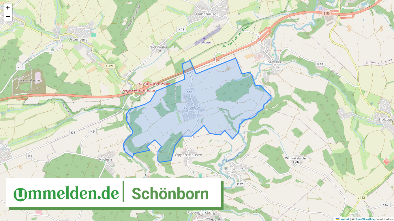 071405008139 Schoenborn