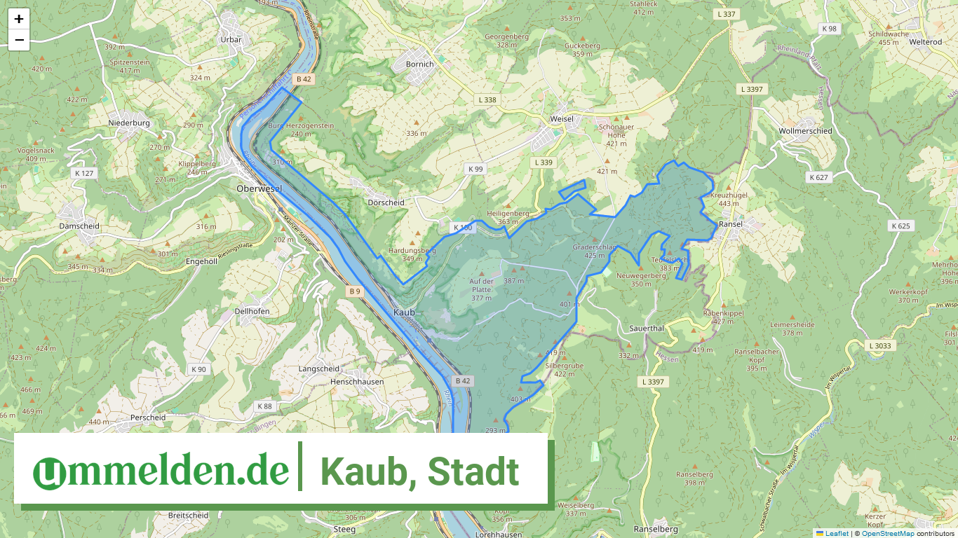 071415009069 Kaub Stadt