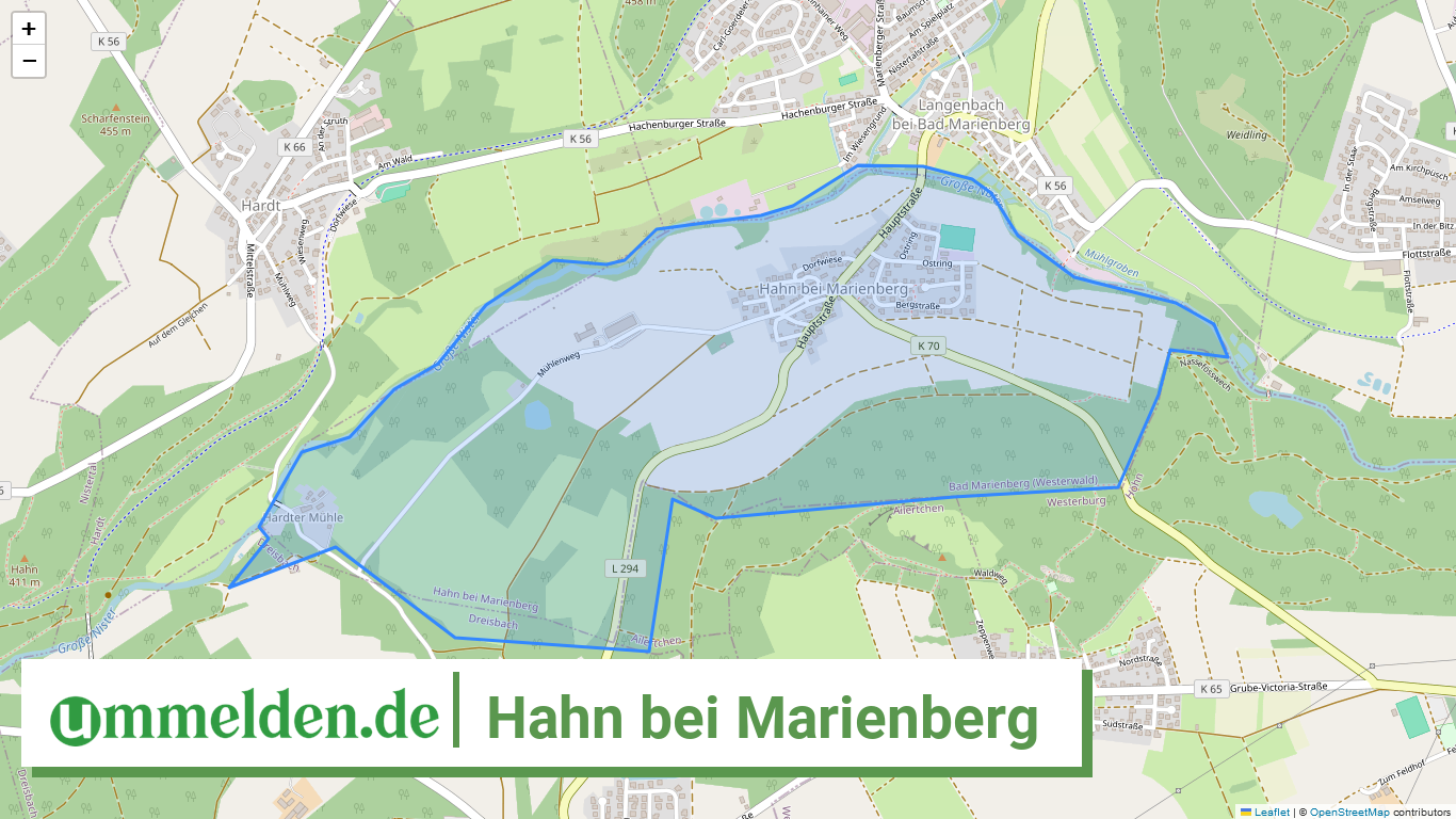 071435001231 Hahn bei Marienberg