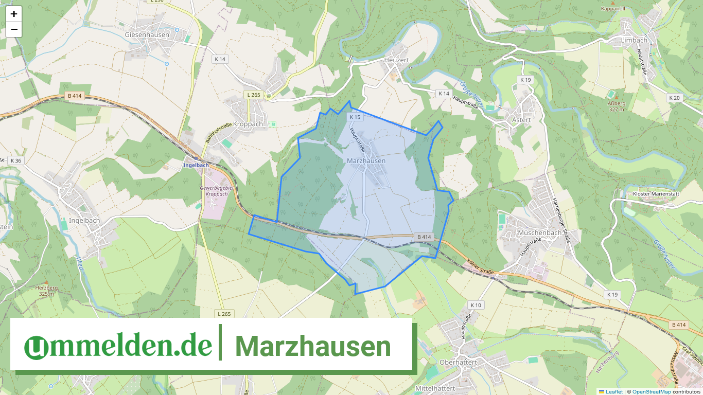 071435002261 Marzhausen