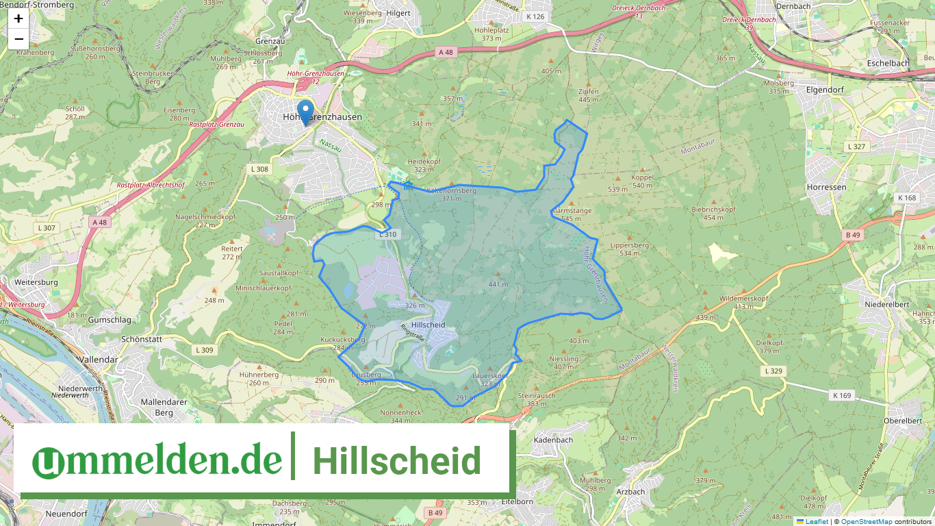 071435003031 Hillscheid