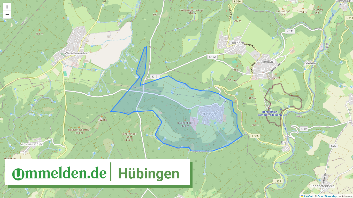 071435004036 Huebingen