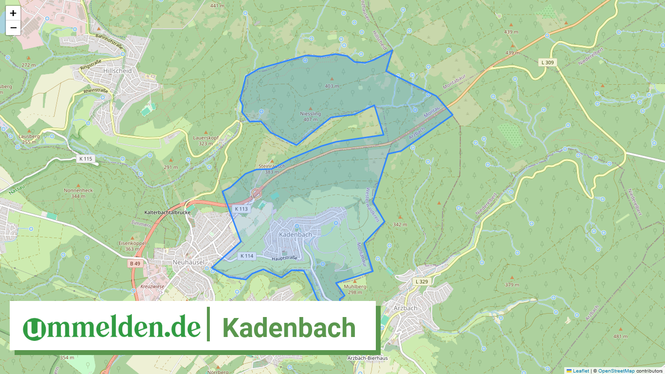 071435004039 Kadenbach