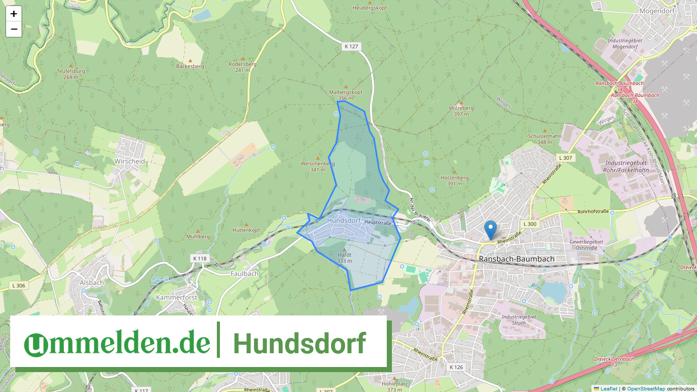 071435005038 Hundsdorf