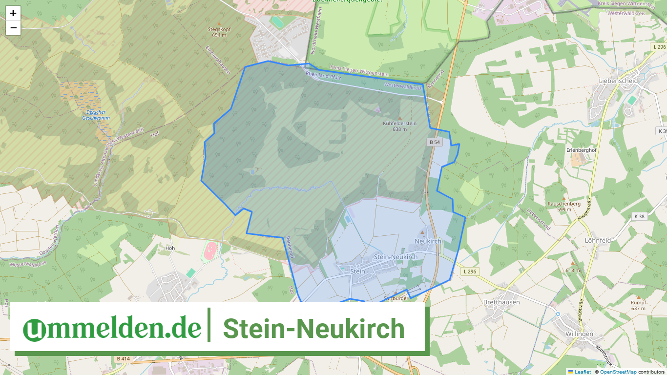 071435006295 Stein Neukirch