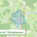 071435008220 Ettinghausen