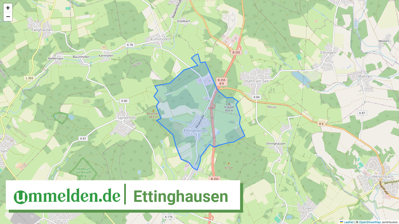 071435008220 Ettinghausen