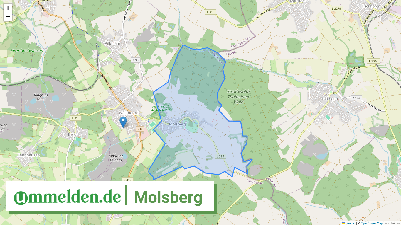 071435008266 Molsberg