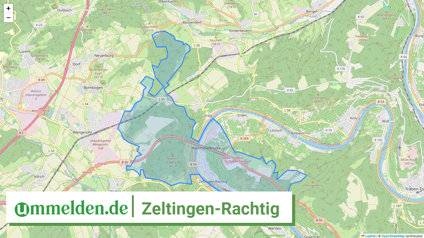 072315001136 Zeltingen Rachtig