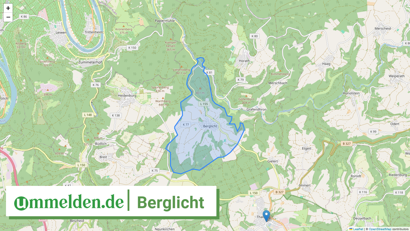 072315006006 Berglicht