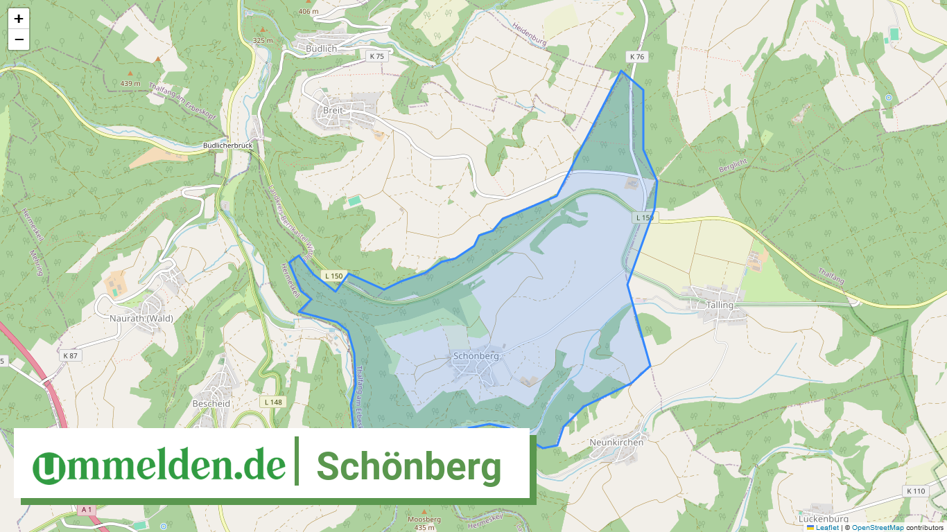 072315006115 Schoenberg