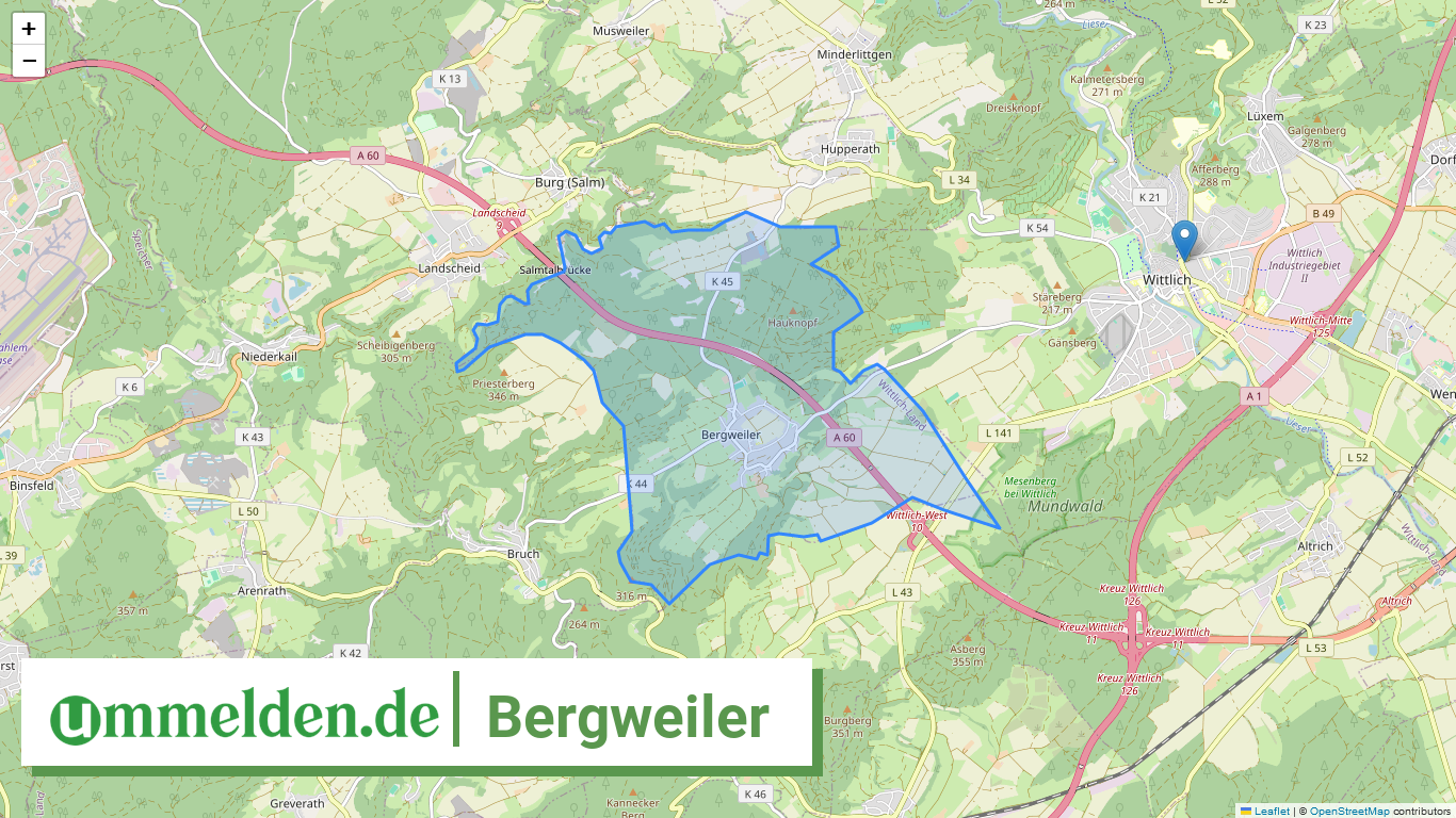 072315008007 Bergweiler