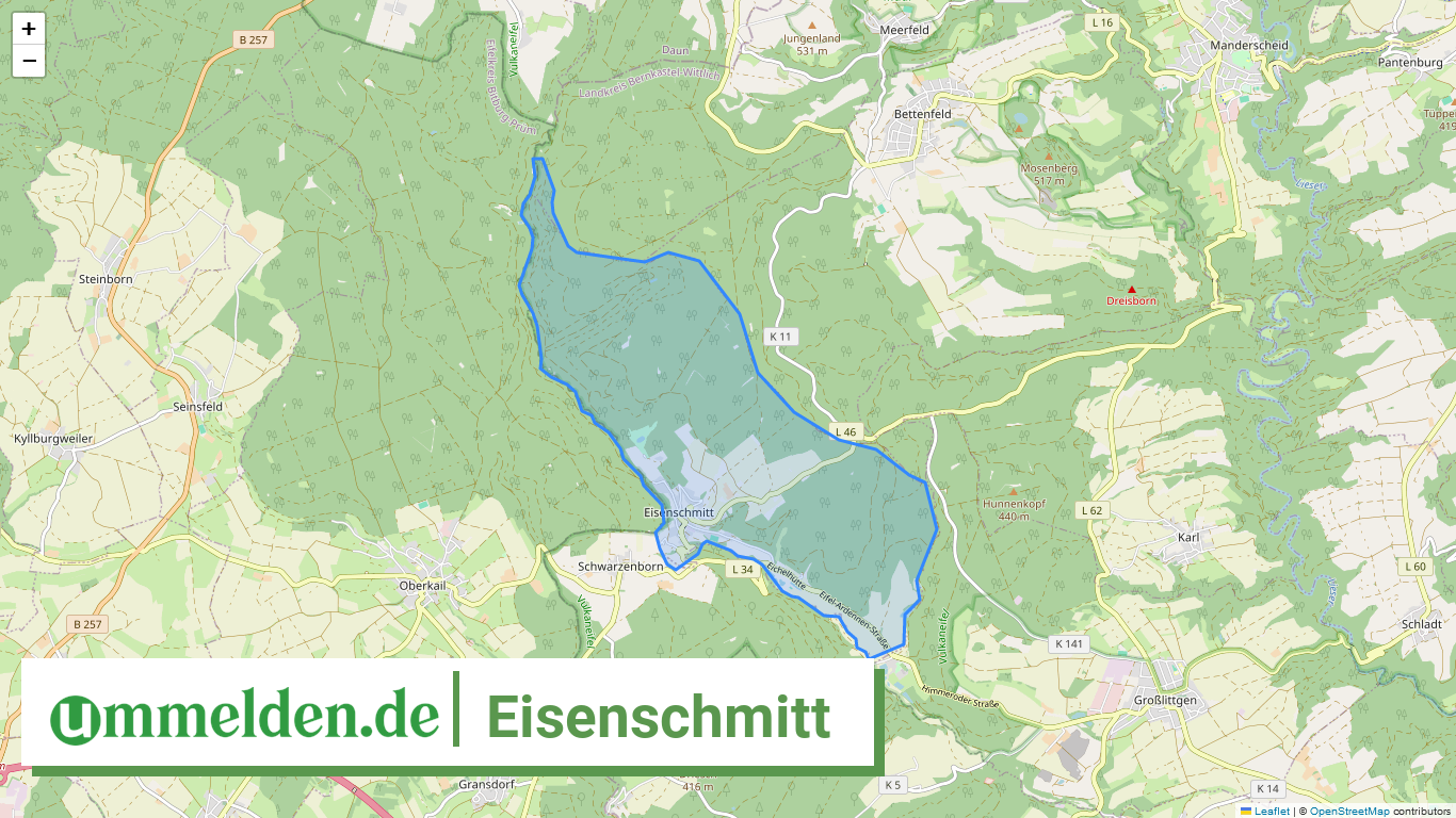 072315008026 Eisenschmitt