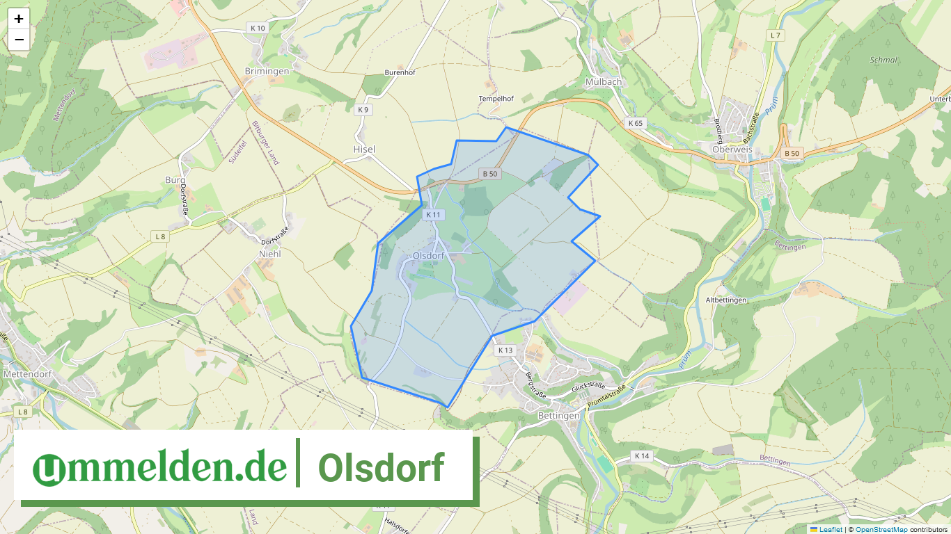 072325008100 Olsdorf