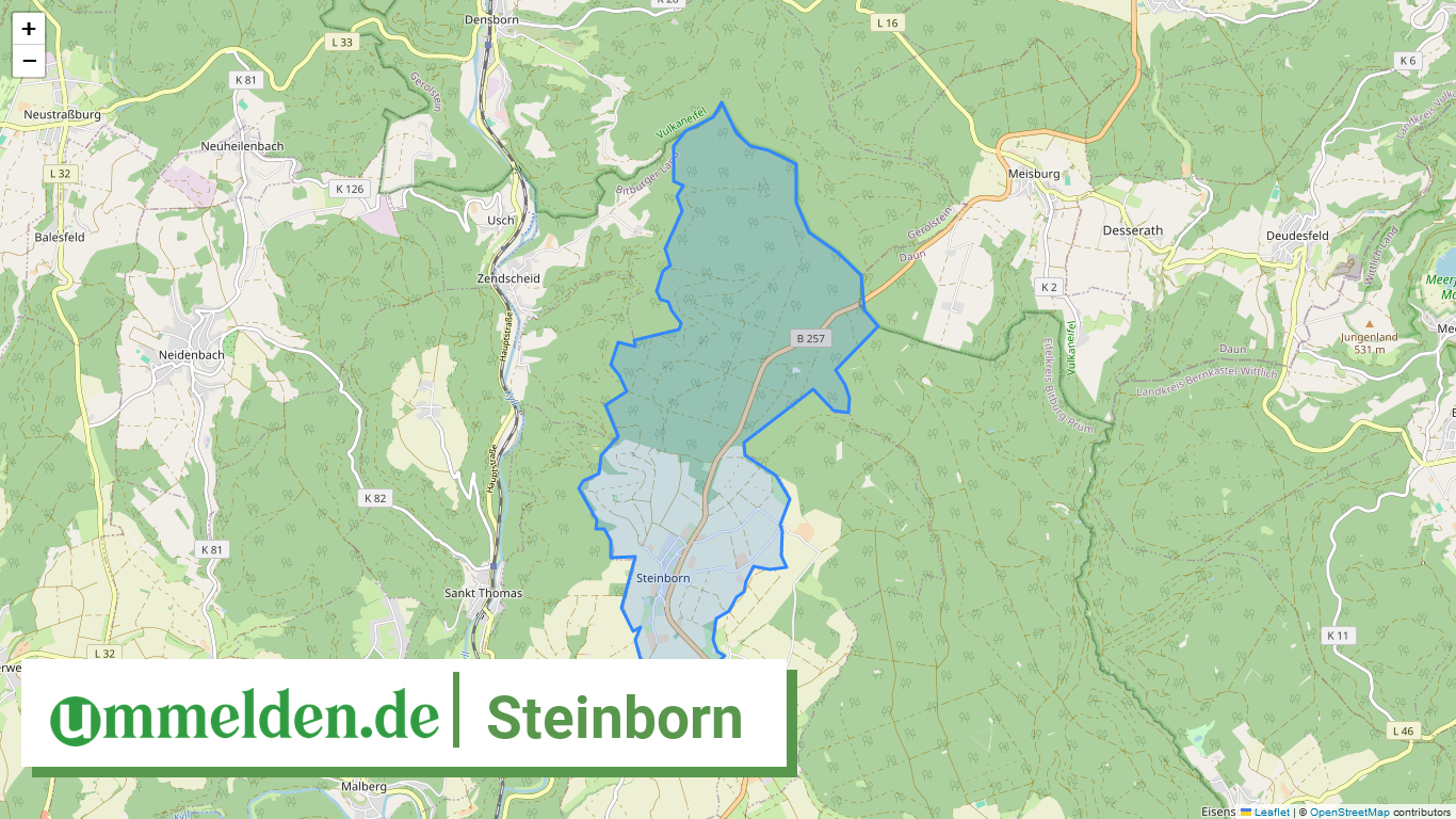 072325008313 Steinborn